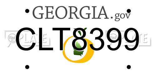 CLT8399 Georgia License Plate