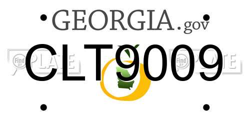CLT9009 Georgia License Plate