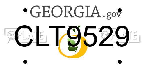 CLT9529 Georgia License Plate