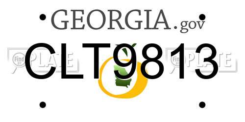 CLT9813 Georgia License Plate