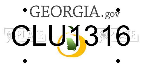 CLU1316 Georgia License Plate