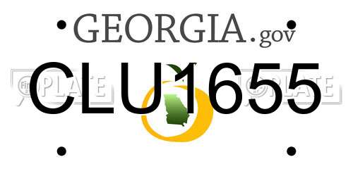 CLU1655 Georgia License Plate