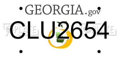 CLU2654 Georgia License Plate