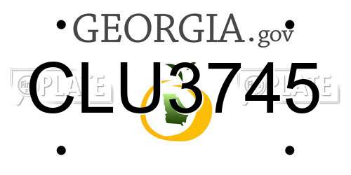 CLU3745 Georgia License Plate