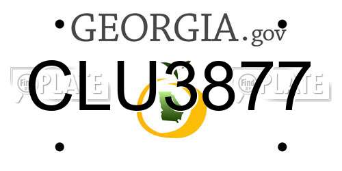 CLU3877 Georgia License Plate
