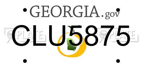 CLU5875 Georgia License Plate