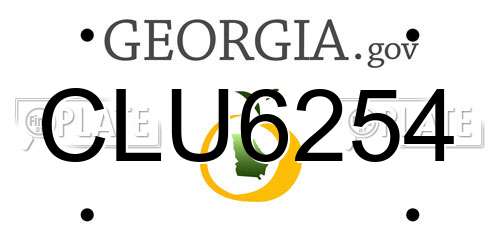 CLU6254 Georgia License Plate