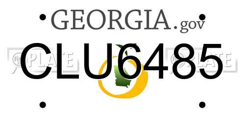 CLU6485 Georgia License Plate