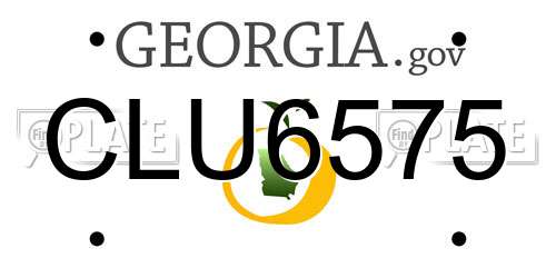 CLU6575 Georgia License Plate