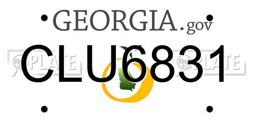 CLU6831 Georgia License Plate
