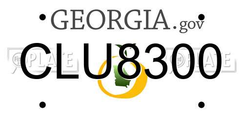 CLU8300 Georgia License Plate