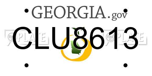 CLU8613 Georgia License Plate