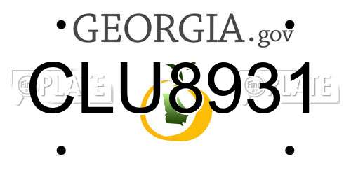 CLU8931 Georgia License Plate