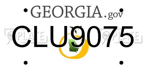 CLU9075 Georgia License Plate