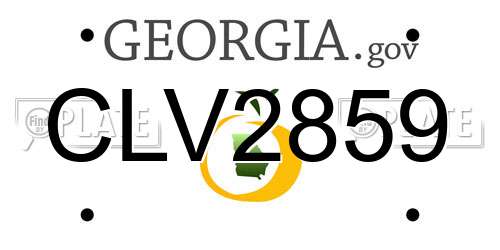 CLV2859 Georgia License Plate