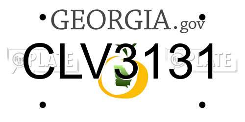 CLV3131 Georgia License Plate