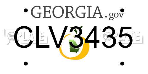 CLV3435 Georgia License Plate