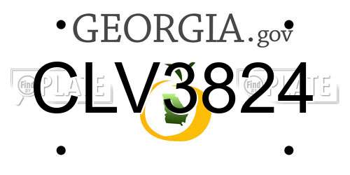 CLV3824 Georgia License Plate