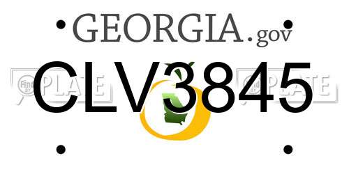 CLV3845 Georgia License Plate