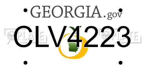 CLV4223 Georgia License Plate