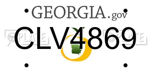 CLV4869 Georgia License Plate