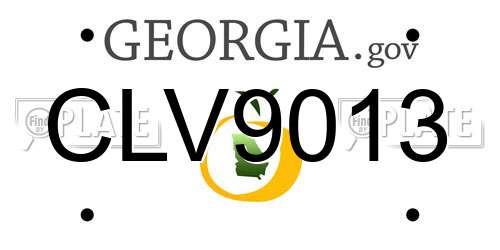 CLV9013 Georgia License Plate