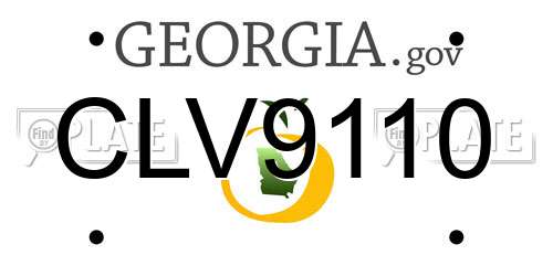 CLV9110 Georgia License Plate