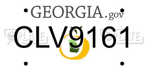 CLV9161 Georgia License Plate