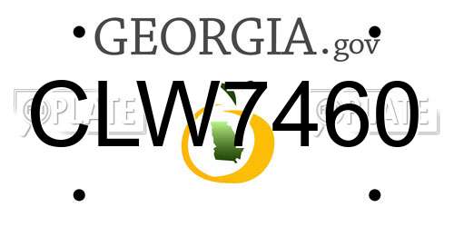 CLW7460 Georgia License Plate