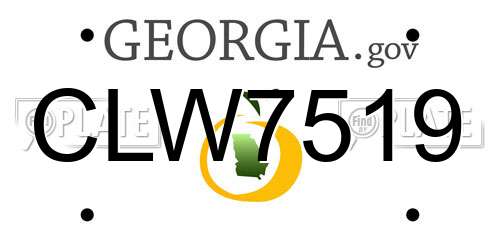 CLW7519 Georgia License Plate