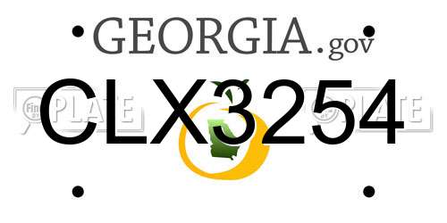 CLX3254 Georgia License Plate