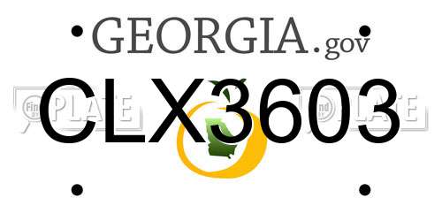 CLX3603 Georgia License Plate