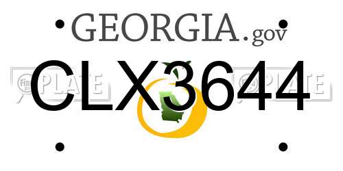 CLX3644 Georgia License Plate