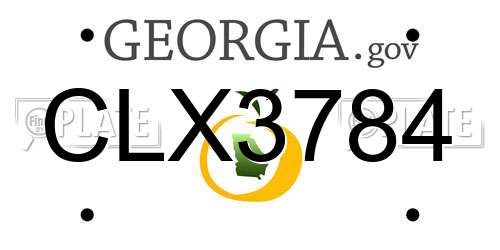 CLX3784 Georgia License Plate