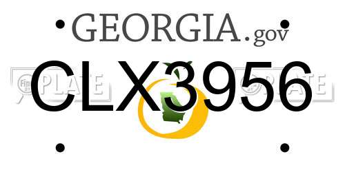 CLX3956 Georgia License Plate