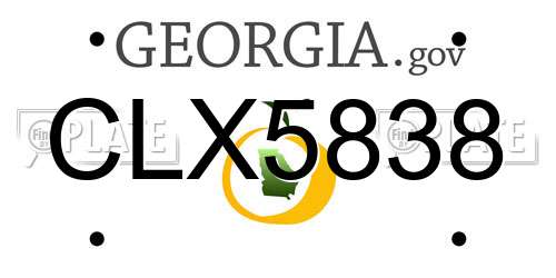 CLX5838 Georgia License Plate