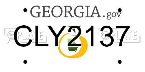 CLY2137 Georgia License Plate