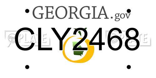CLY2468 Georgia License Plate