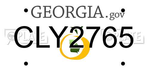 CLY2765 Georgia License Plate