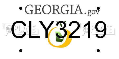 CLY3219 Georgia License Plate