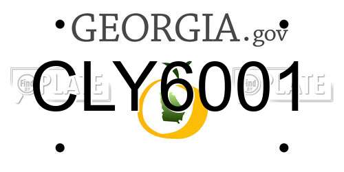 CLY6001 Georgia License Plate