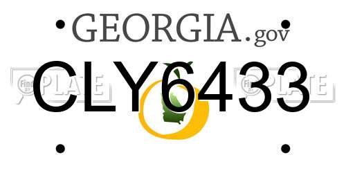 CLY6433 Georgia License Plate