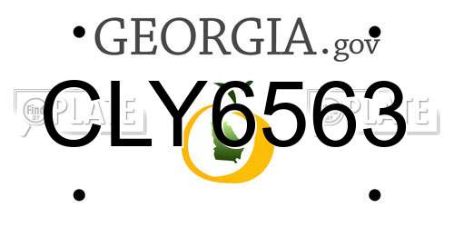 CLY6563 Georgia License Plate