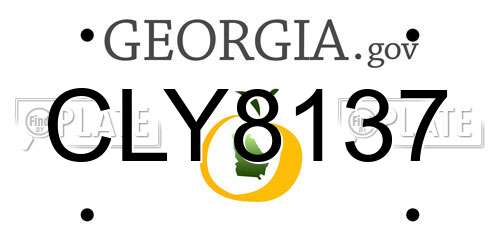 CLY8137 Georgia License Plate