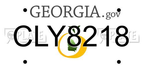 CLY8218 Georgia License Plate