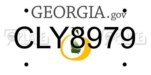 CLY8979 Georgia License Plate