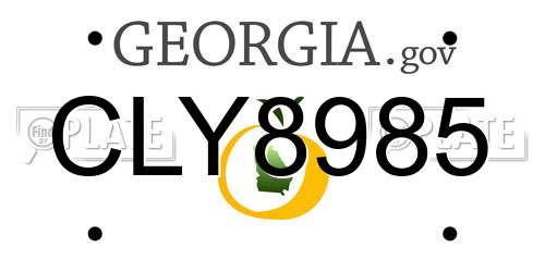 CLY8985 Georgia License Plate