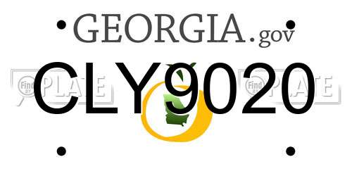 CLY9020 Georgia License Plate