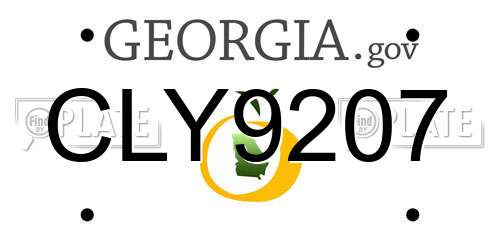 CLY9207 Georgia License Plate