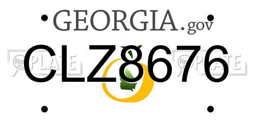 CLZ8676 Georgia License Plate